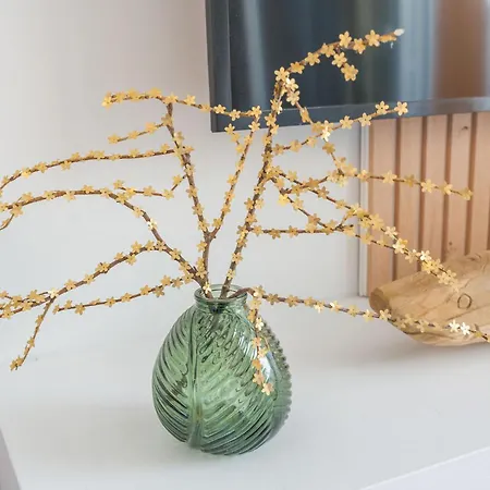 Avec Balcon - Centre *